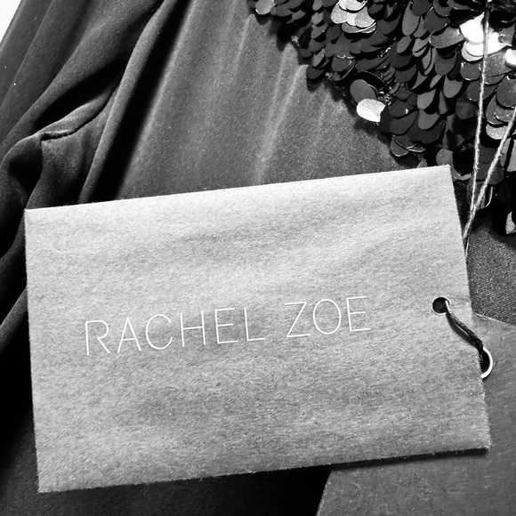 Rachel Zoe holiday dress with sequins - Picture 3 of 5